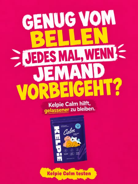 70 % RABATT + KOSTENLOSER Versand