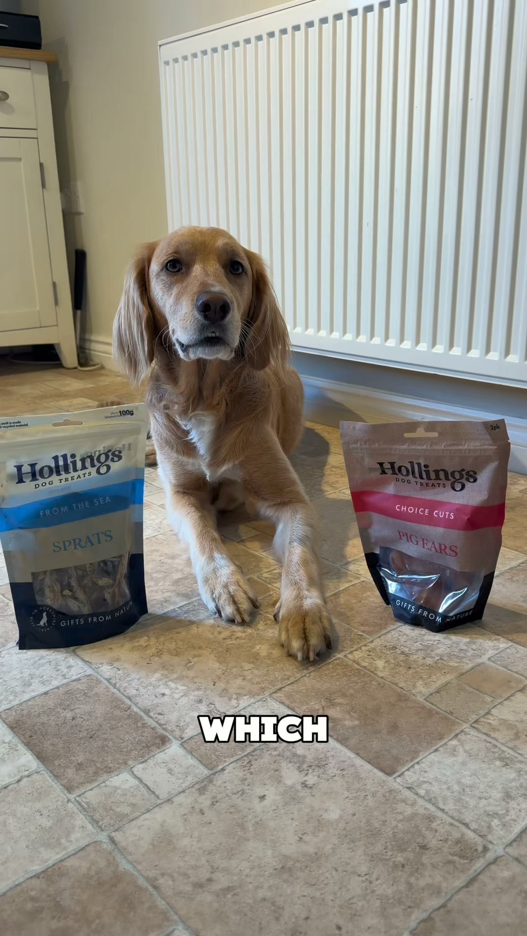 Air-Dried Dog Treats