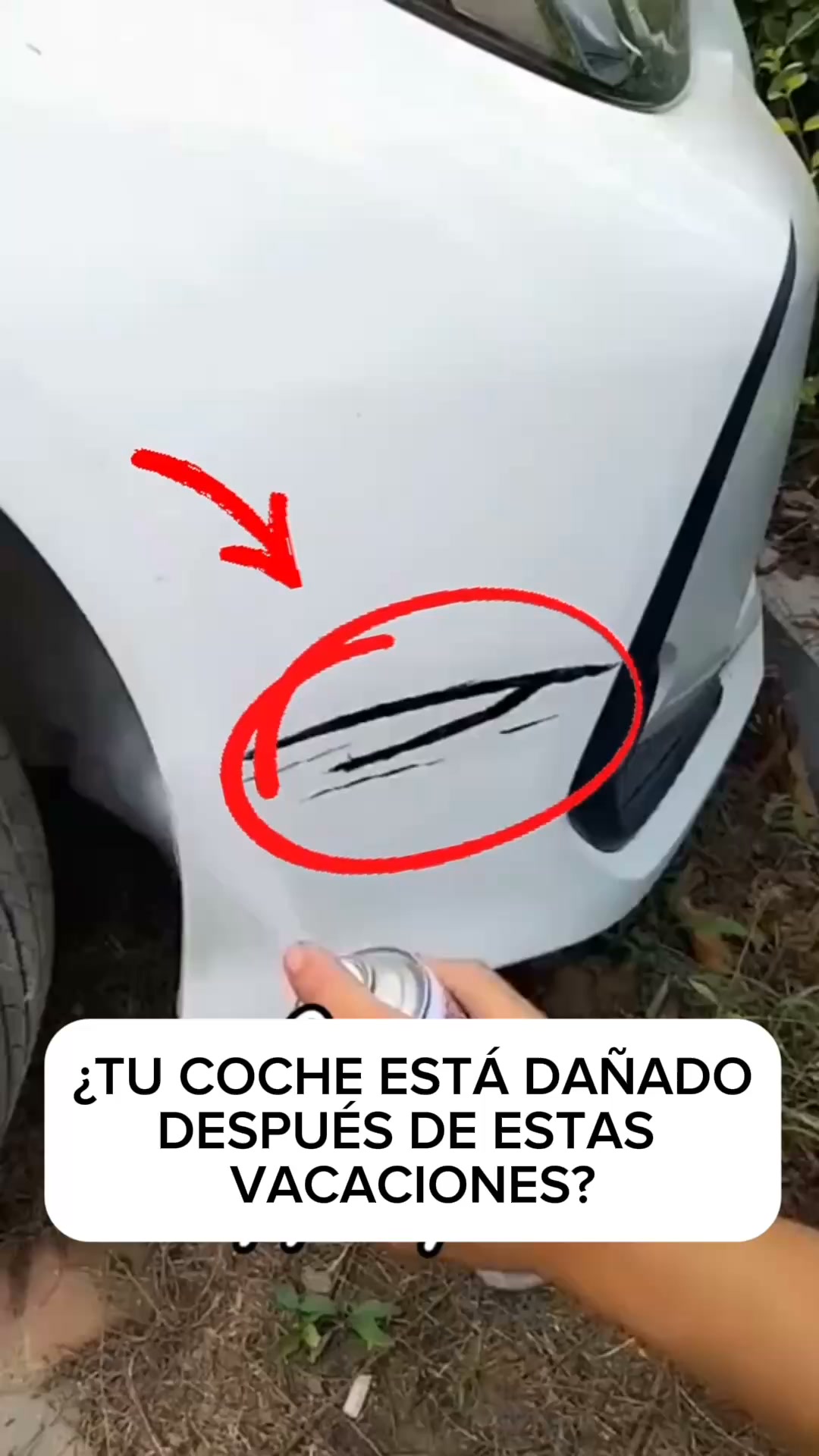 ENVÍO GRATIS 24h