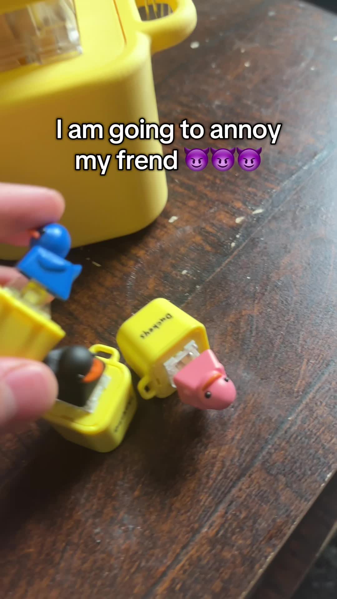 Fidget Toy that QUACKS?!