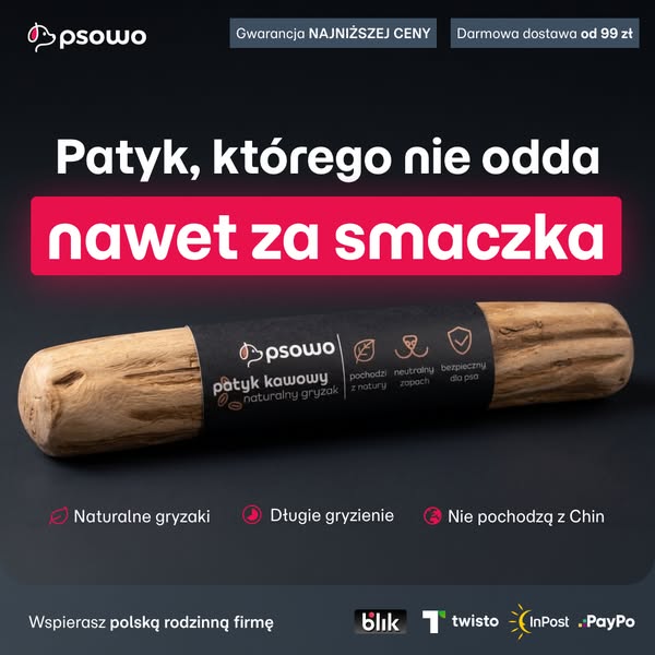 Kup teraz patyk z drzewa kawowego