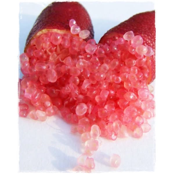 Alberello di Caviale Limone (Finger Lime)