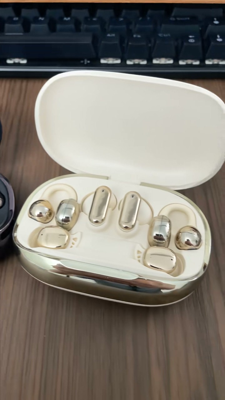 3-in-1 Wireless Earbuds with Power Bank Charging Case