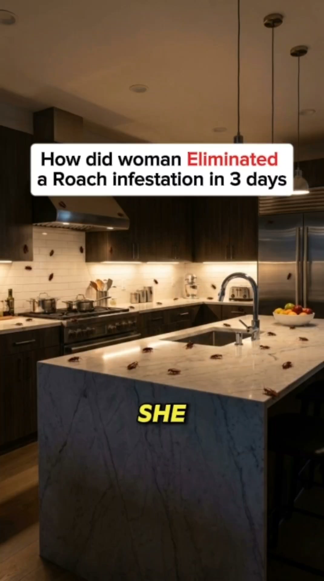 Roaches Own Your Kitchen?