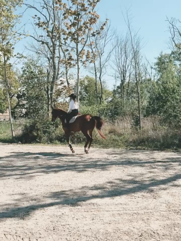 Nellie Breeches Classic, Deep Taupé | Pomme