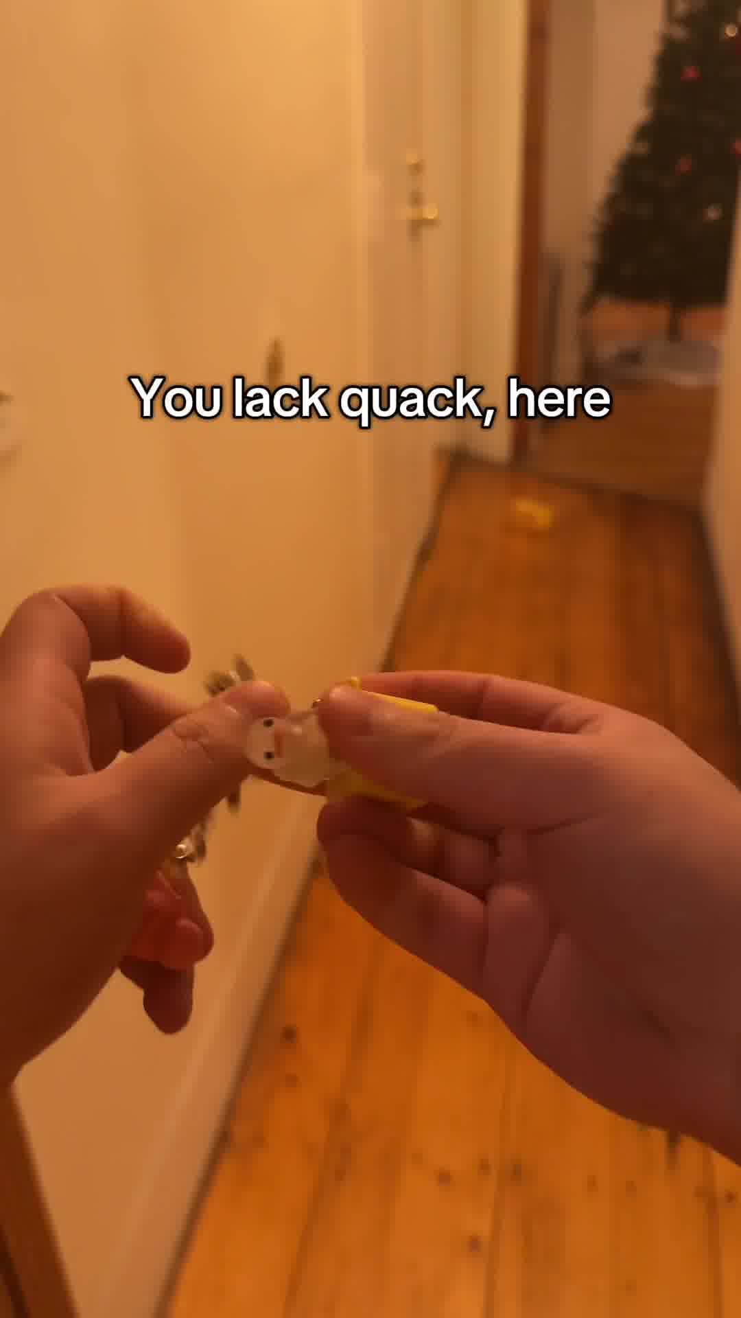 Fidget Toy that QUACKS?!