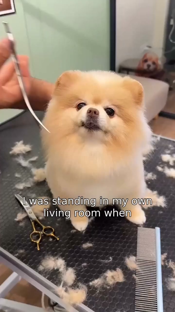 Curious to know what happens next?