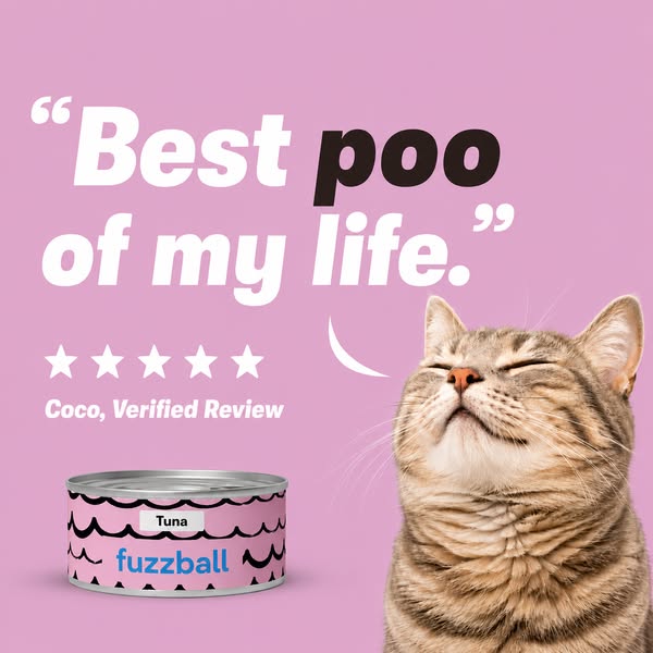 Highest Protein Cat Food