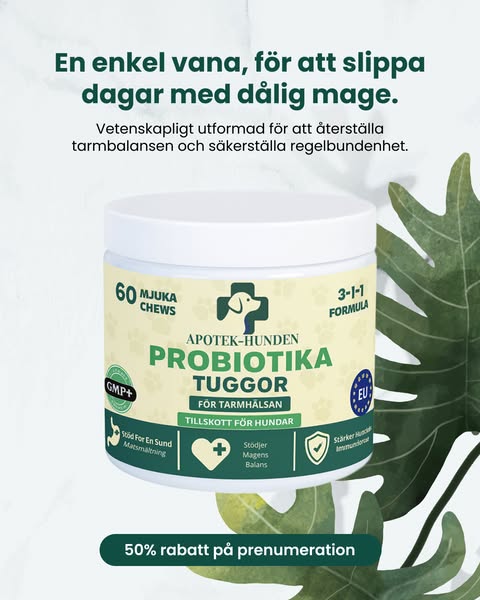 25,000+ hundar kan inte ha fel