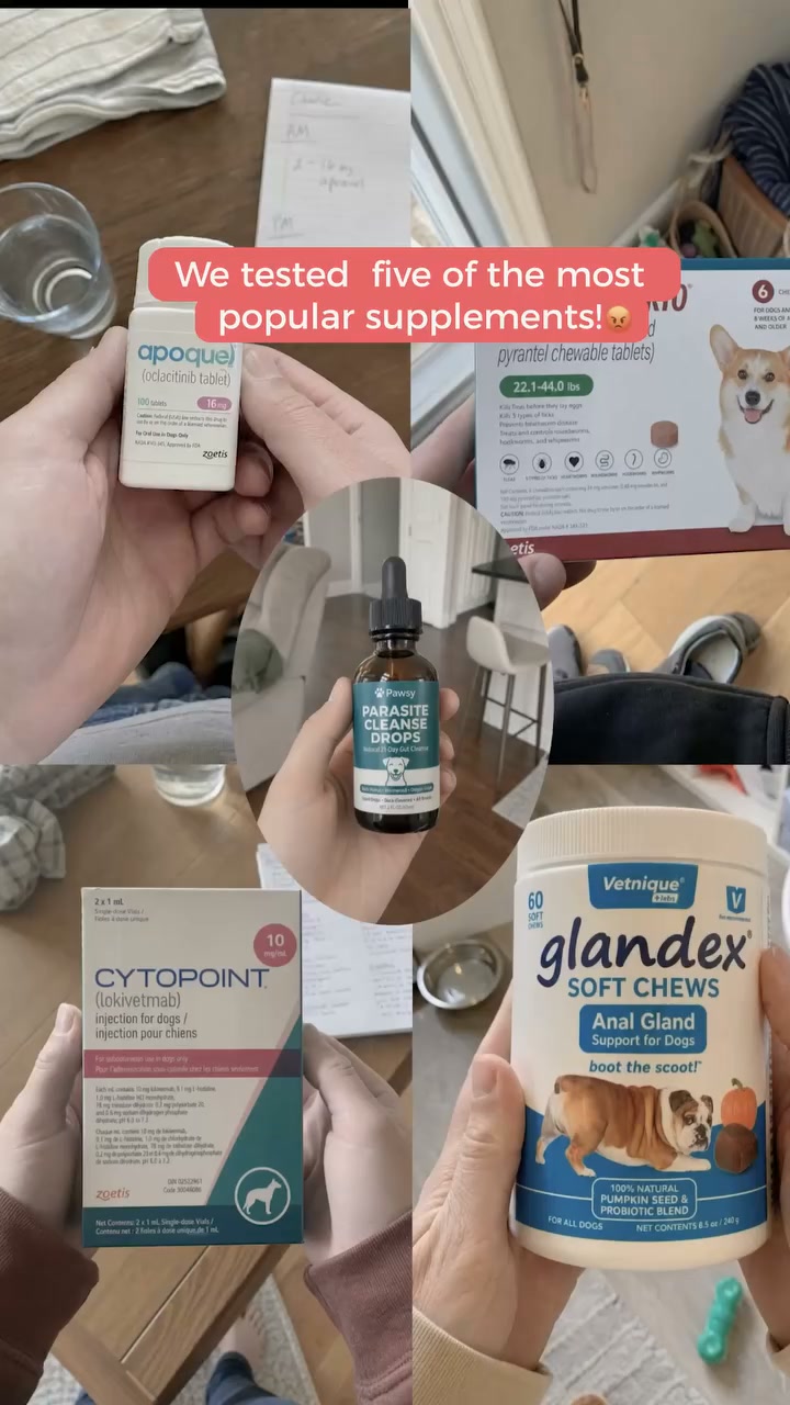 Gut Support in One Routine