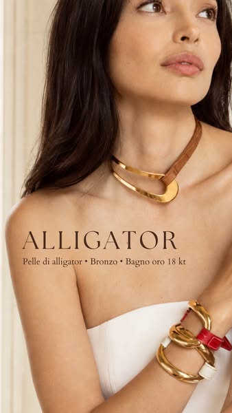 Collezione Alligator