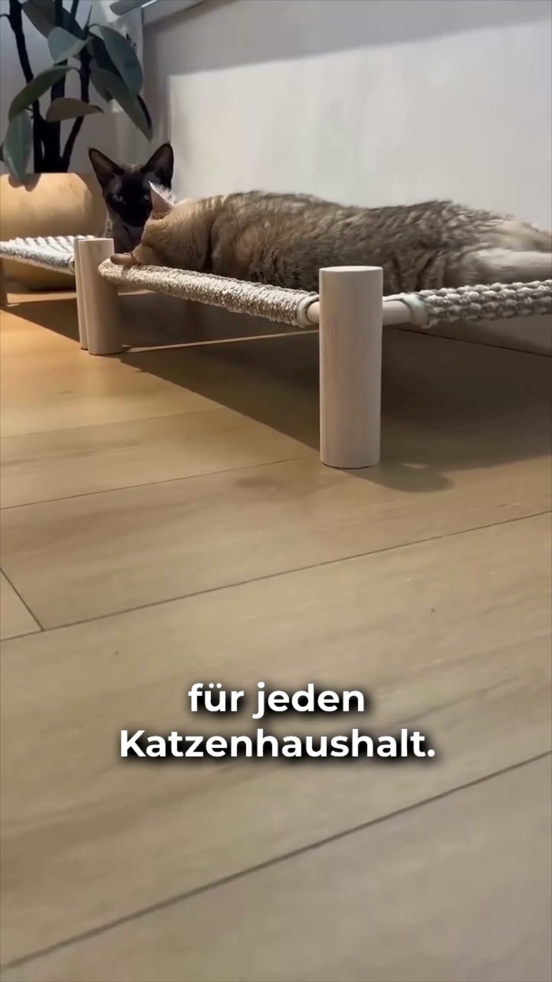 #1 Katzenkratzbett