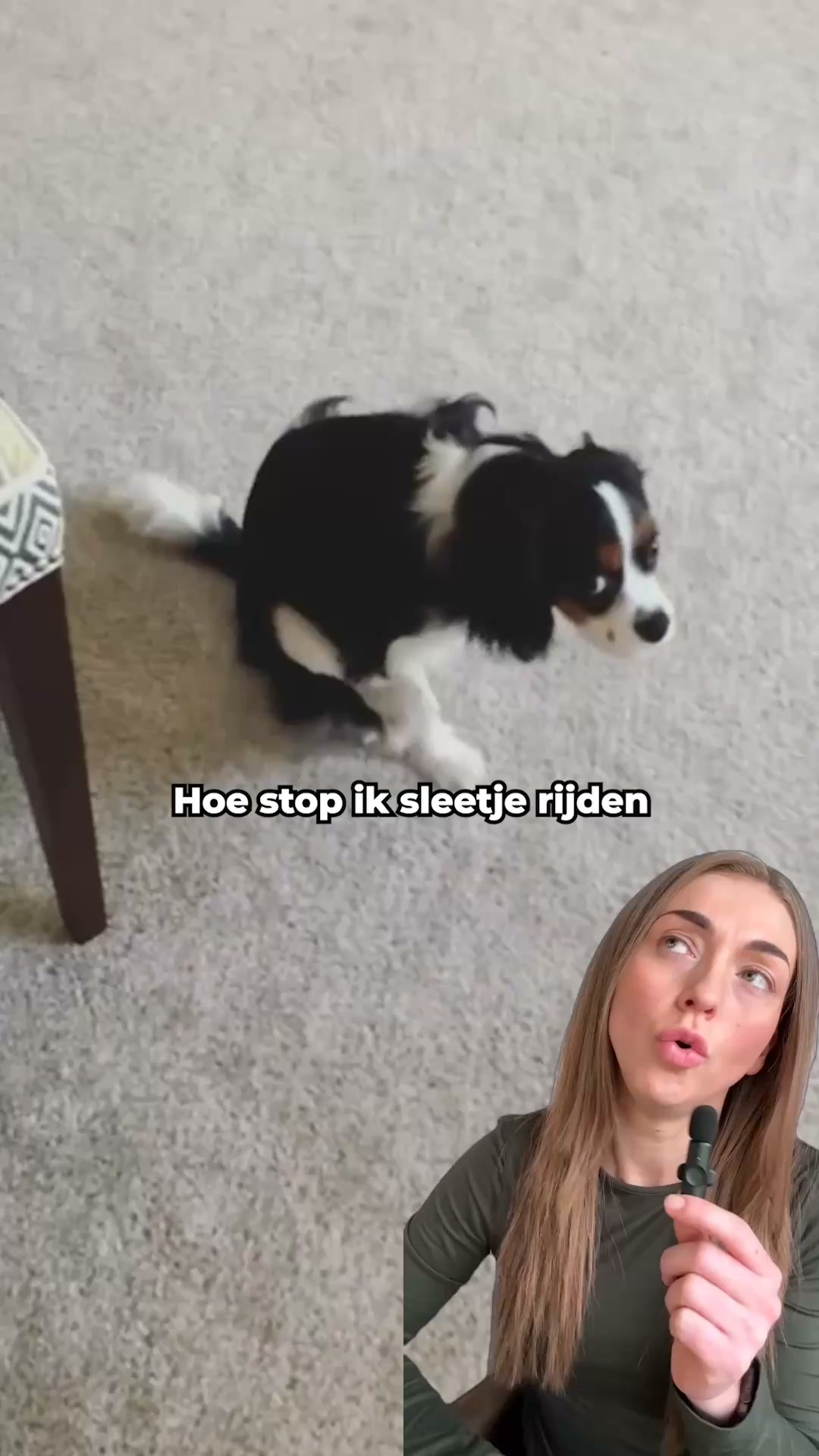 Blijft je hond sleetje rijden? Kijk dit even