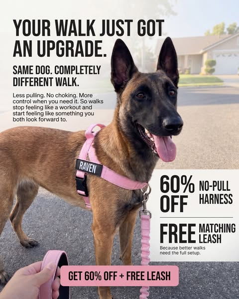 FREE LEASH TODAY
