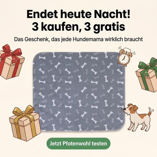 Wie wir jeden Hund stubenrein bekommen