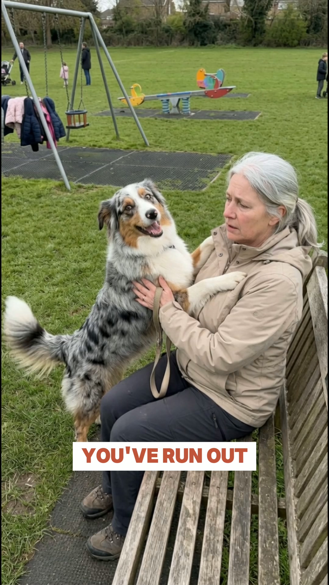 Your Dog Isn't Broken