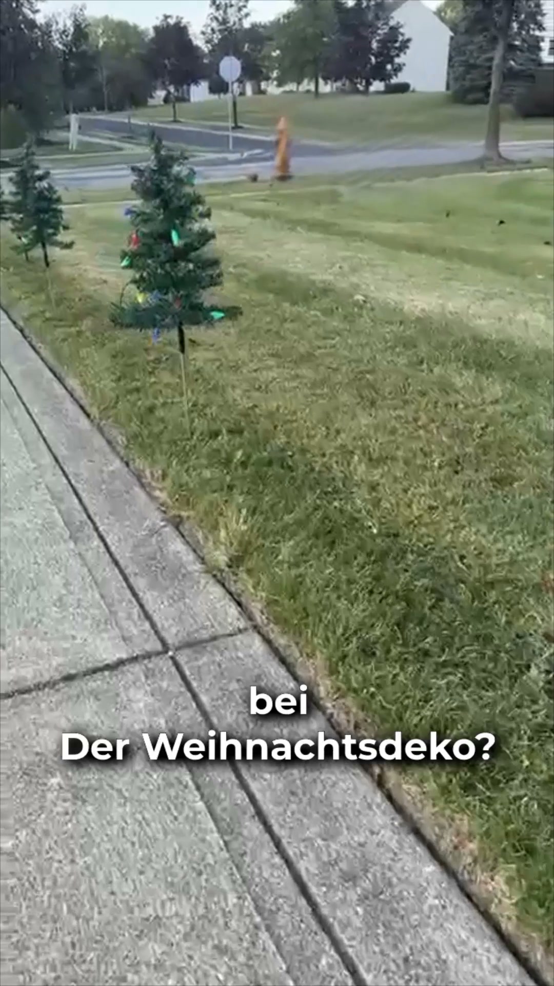 #1 Solar Tannenbaum