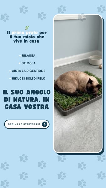 Il suo primo prato vero, in casa