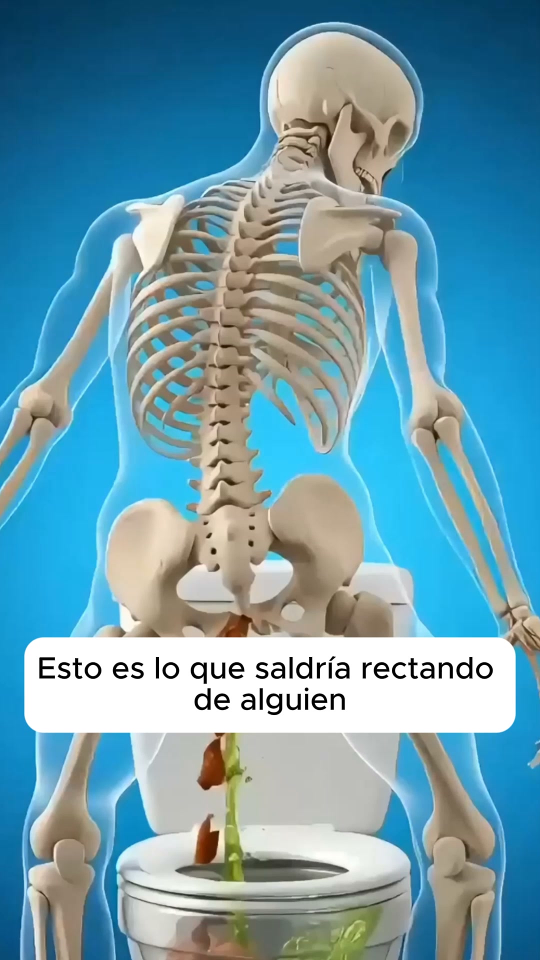 Ahorra hasta un 52% en Selvia Hoy