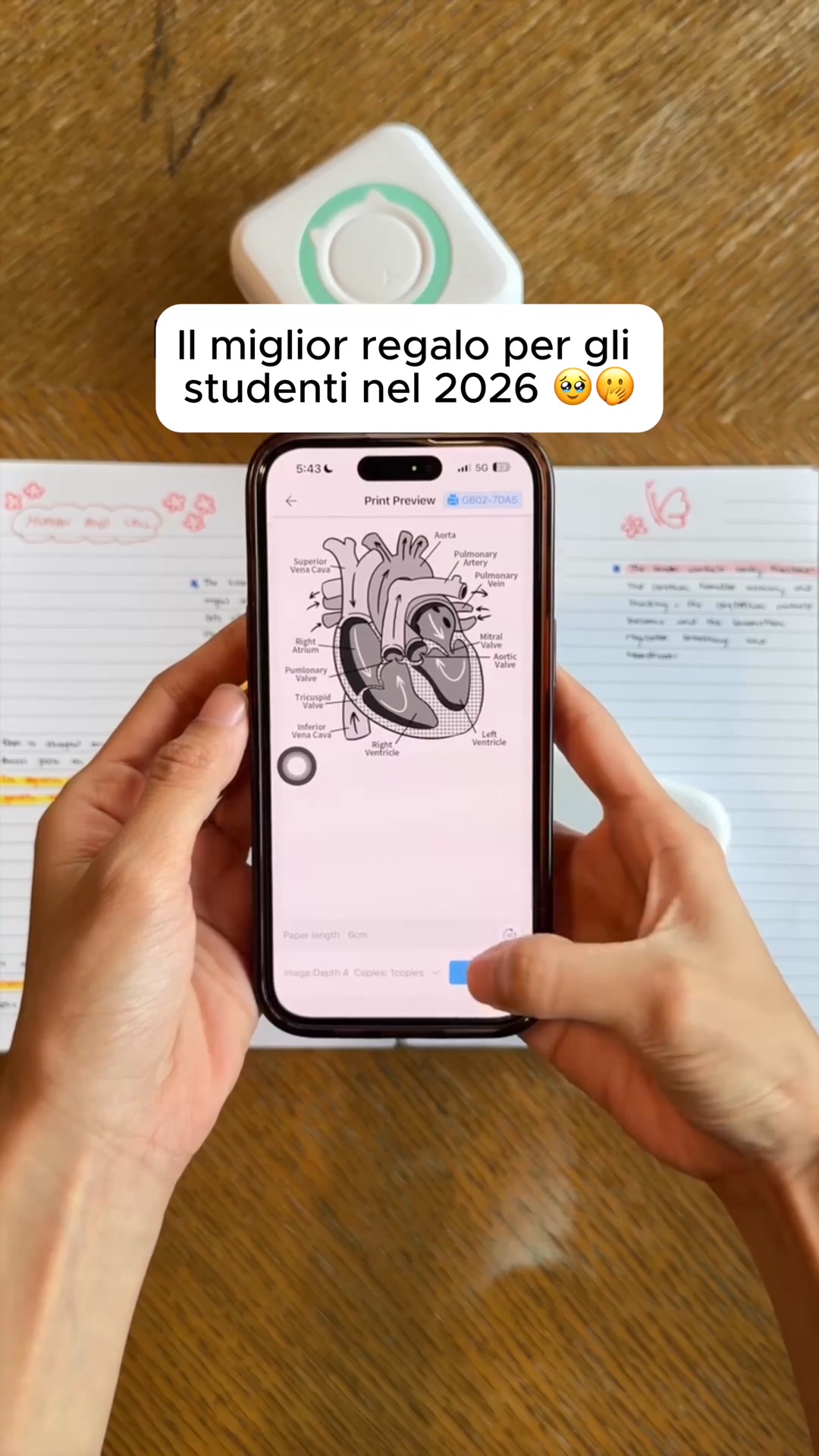 Fino al 70% di SCONTO