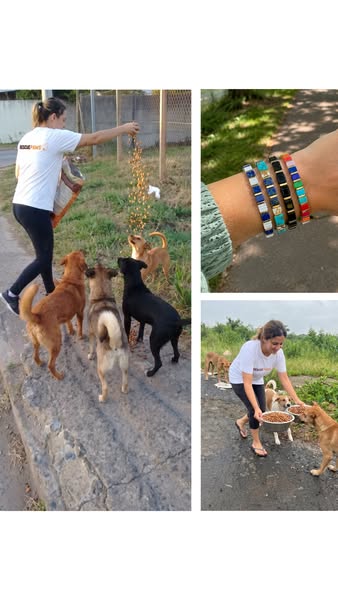 Miyuki Bracelets