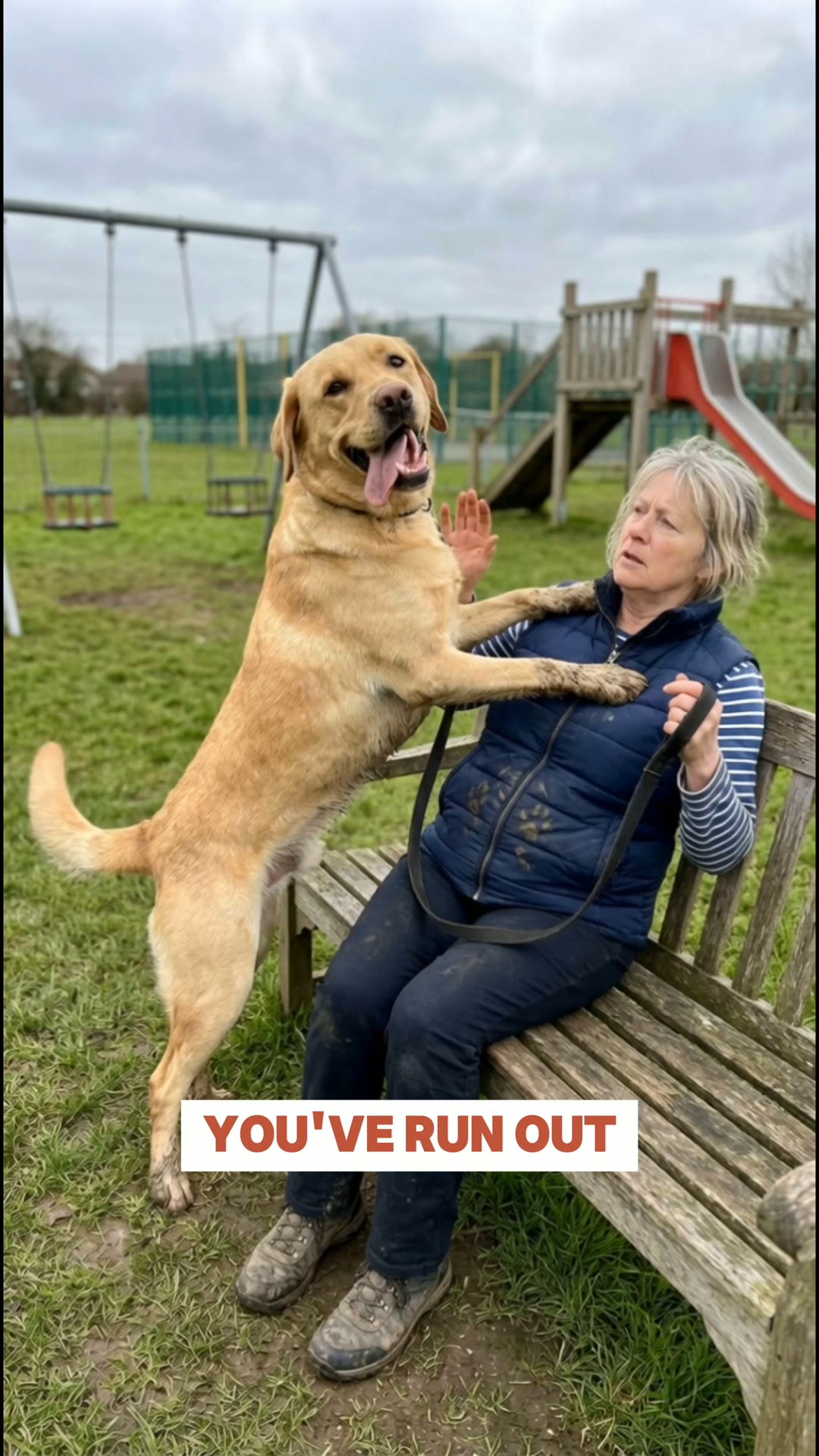 Your Dog Isn't Broken