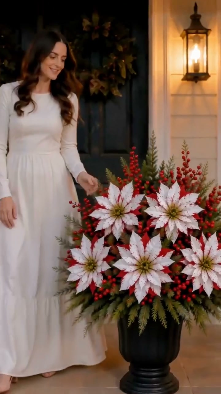 Garnitures de Noël pour jardinières (Poinsettias)