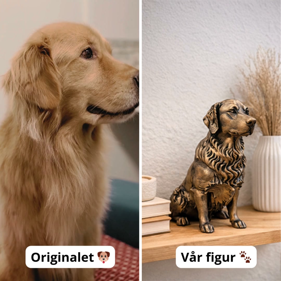 Hundfigur: Se alla raser här