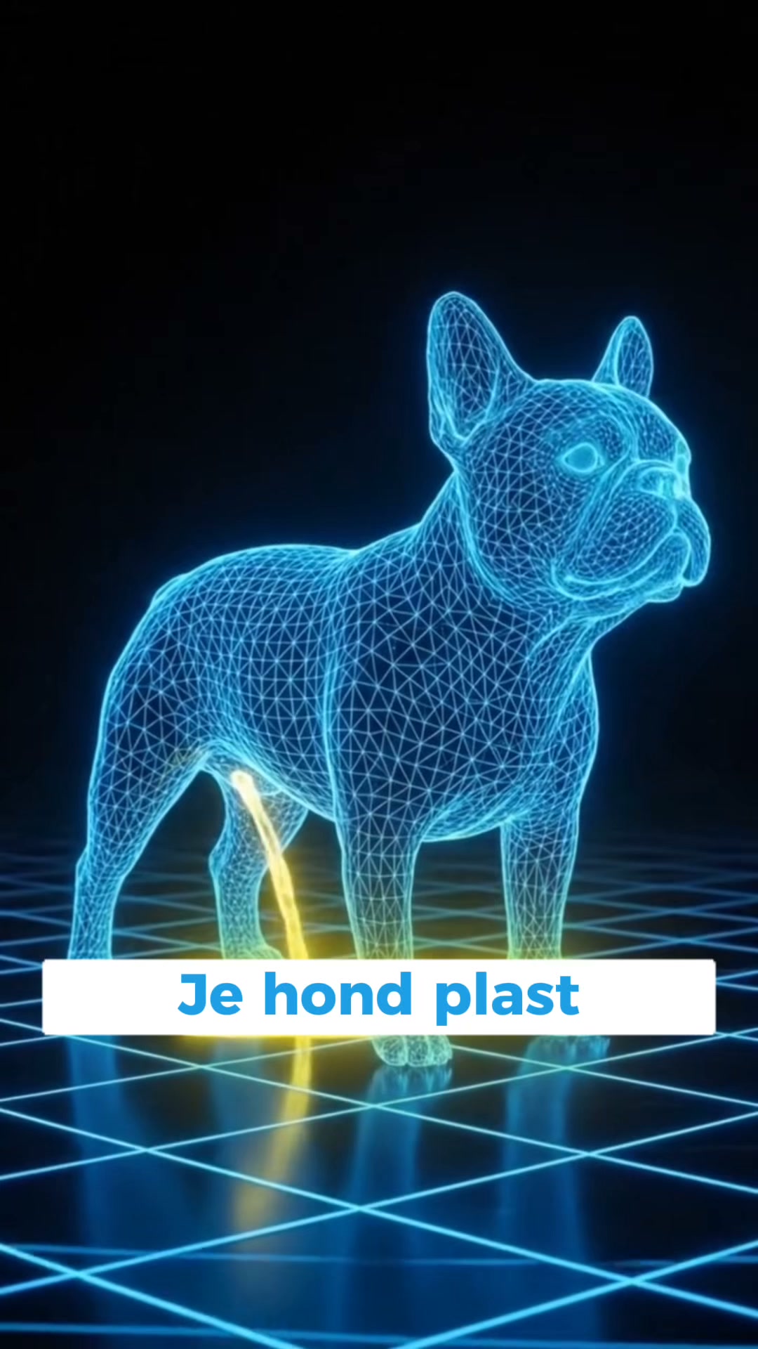 Bespaar nu 50% op Furrzie