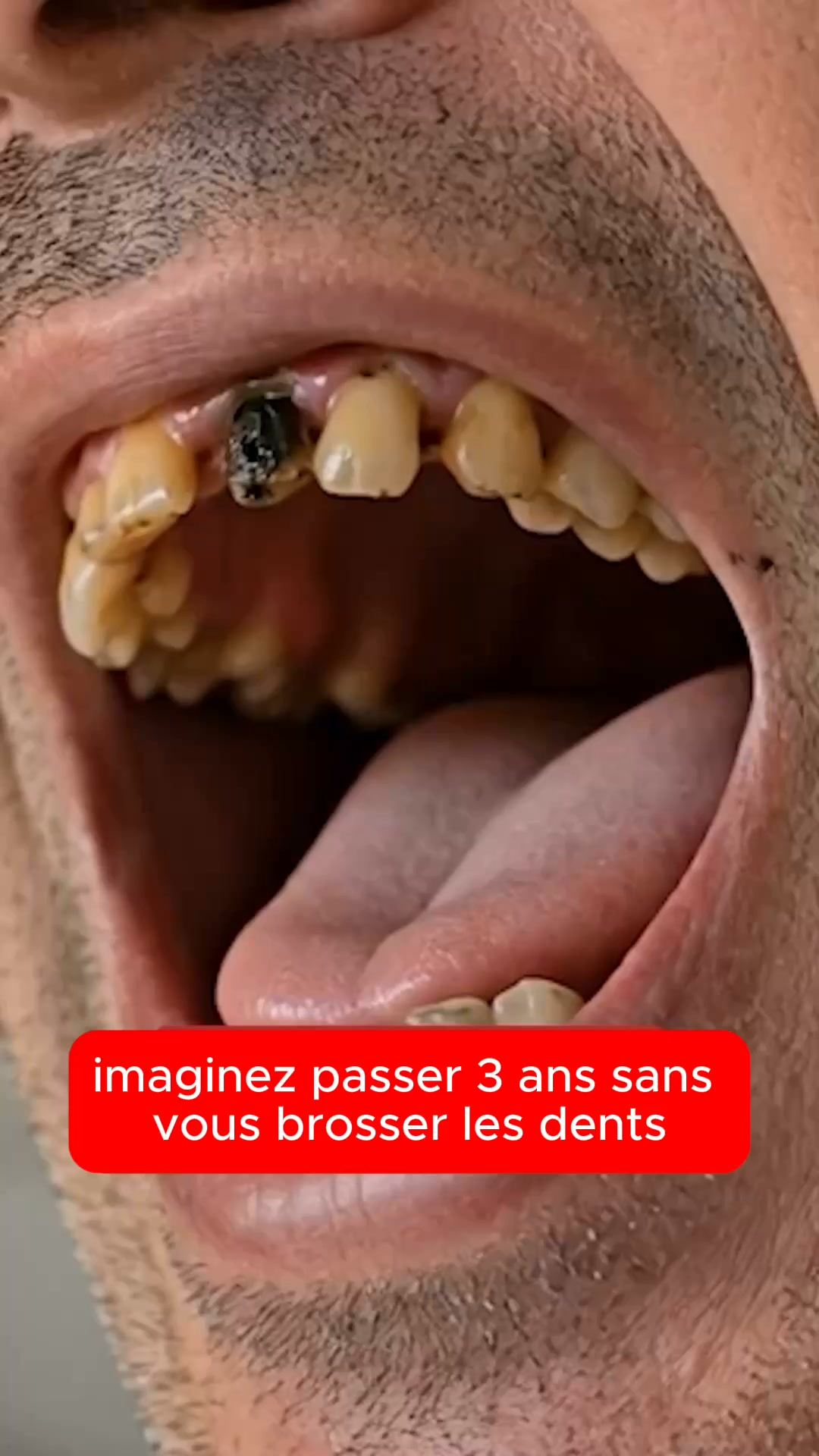 2 ACHETÉS = 1 OFFERT — Durée limitée