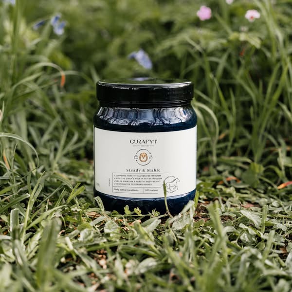 Steady & Stable Supplement