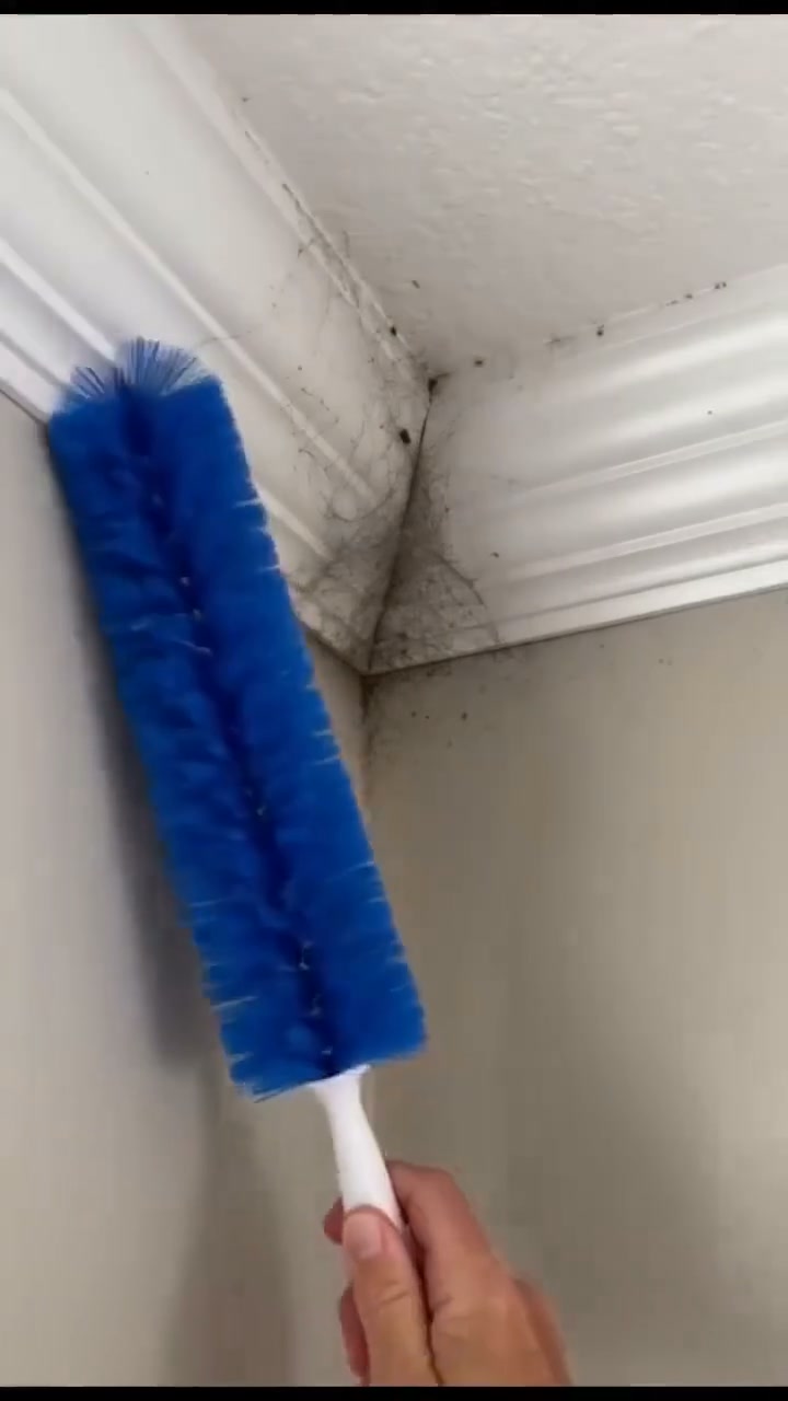 Anúncio de Ultimate Domestic Gadgets