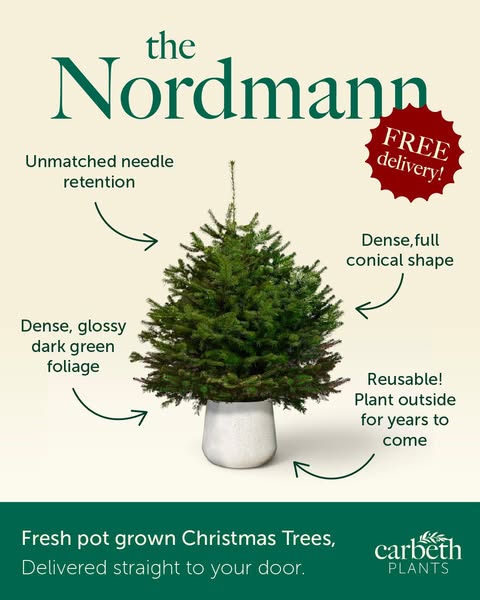 Pre-Order Your Real Pot-Grown Christmas Tree