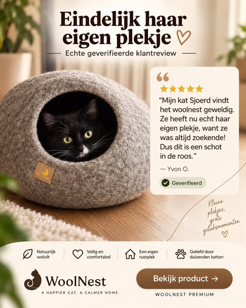 De kattenmand die de doos verslaat