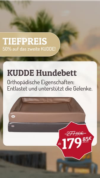 Jetzt sparen beim Kauf von zwei KUDDE