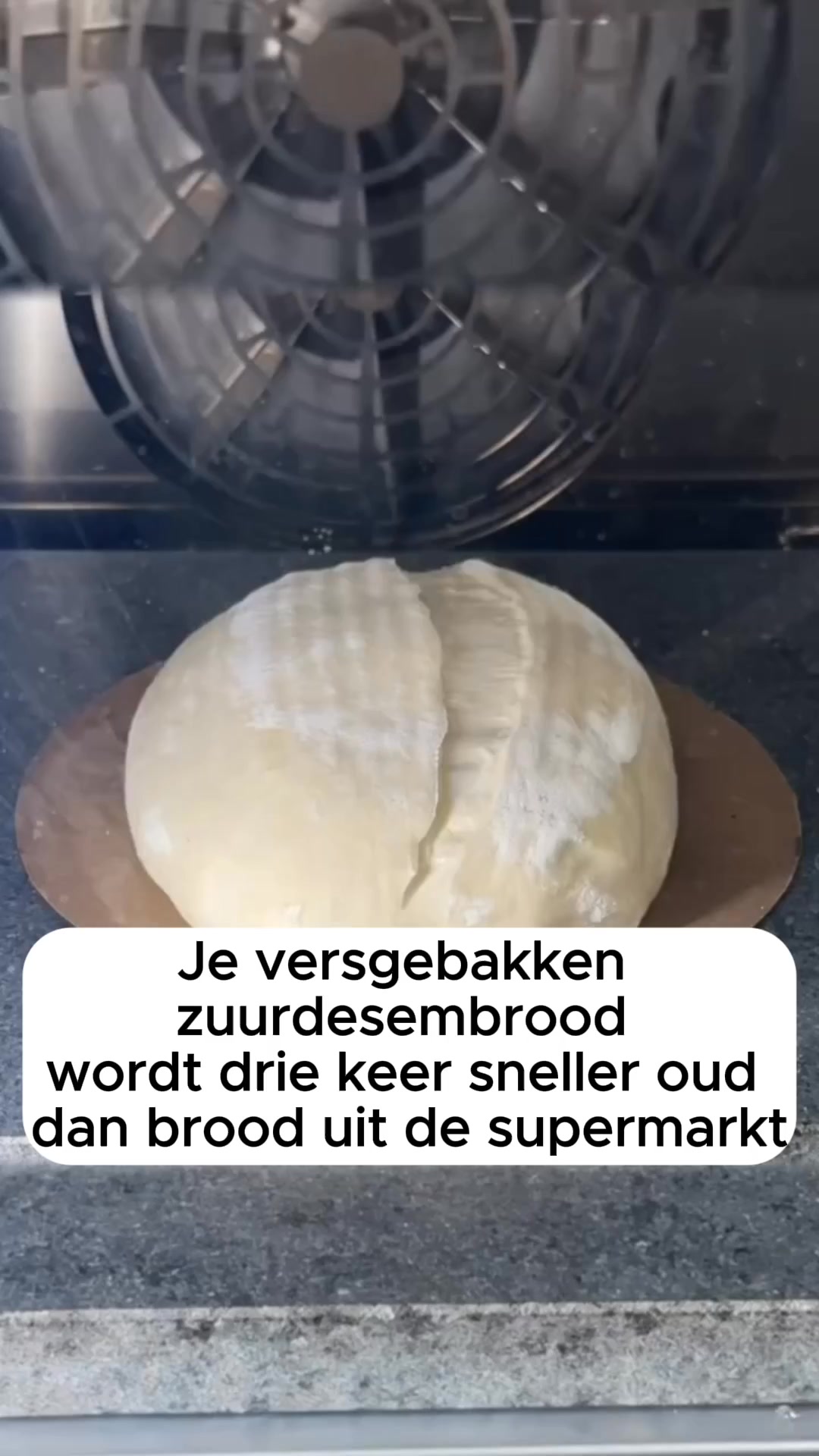 2 Halen 1 Betalen!