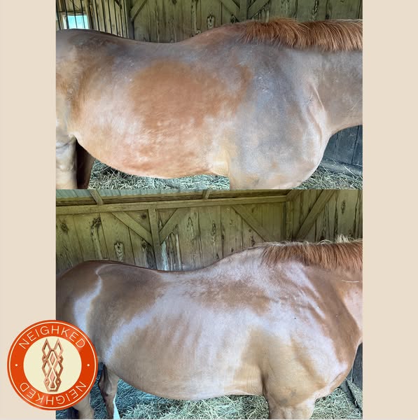 SKIN TONIC - Used by Vets & Team GB Riders