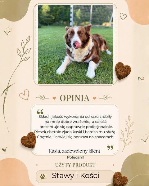 Twój pies kuleje po spacerze?