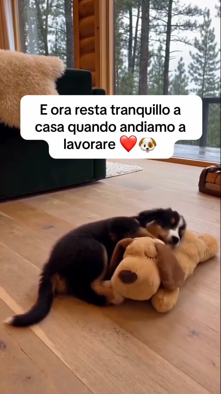 ACQUISTA ORA