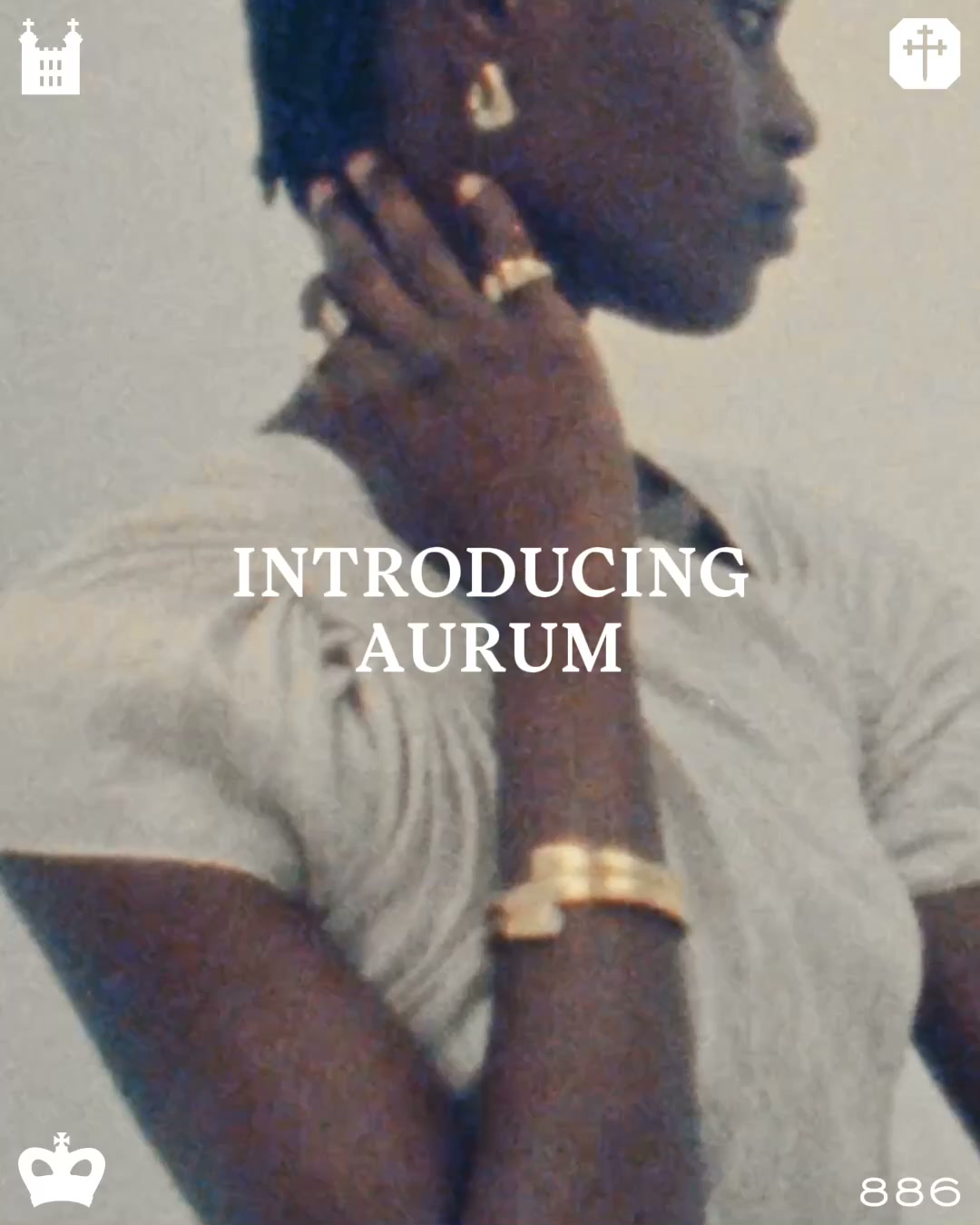 Introducing Aurum.