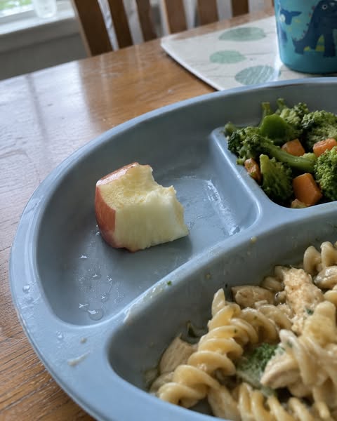 "Não arrisques a vida do teu filho ao jantar: A ferramenta de sucção de 3 segundos que substitui o pânico na cozinha."