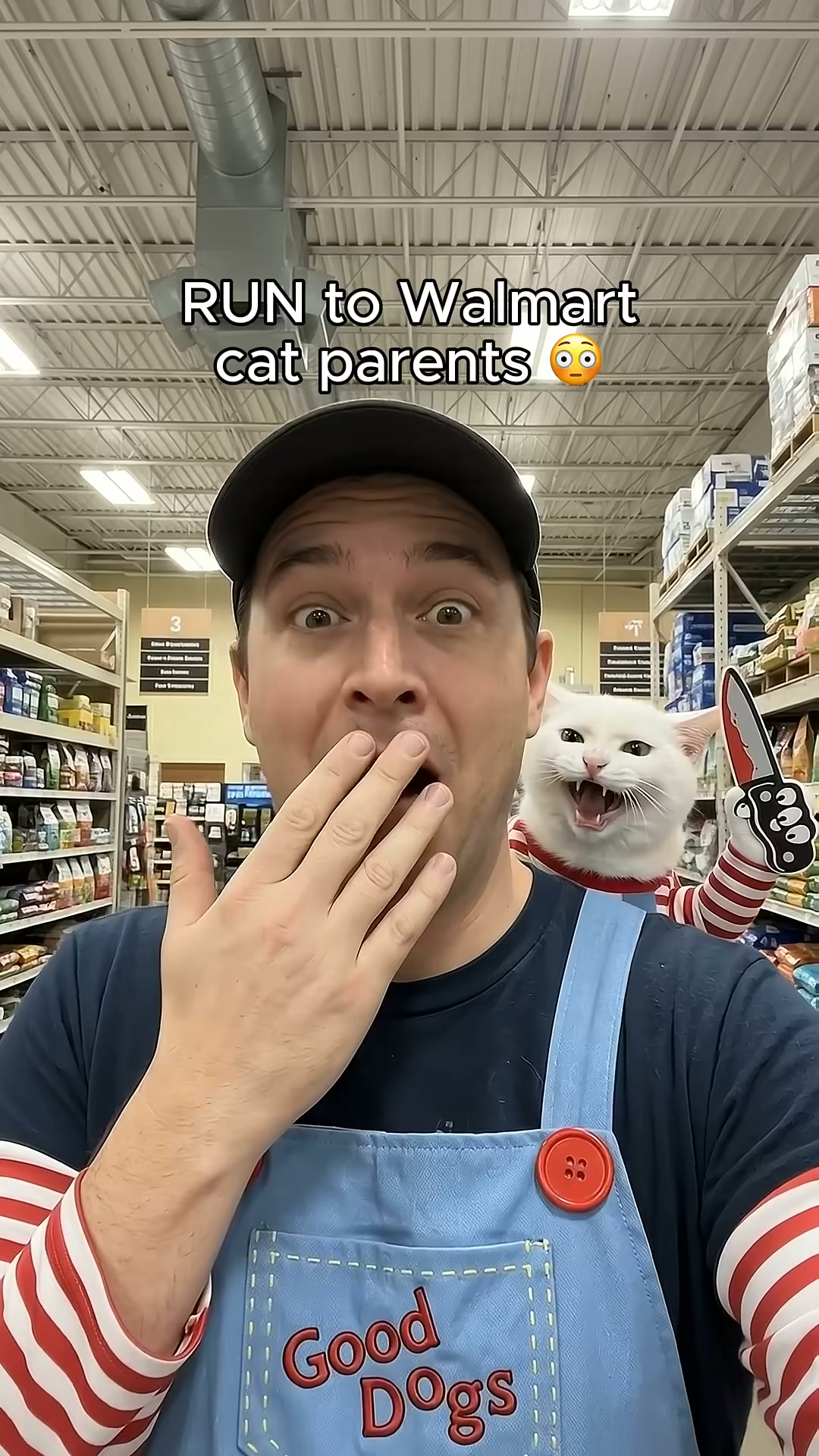 Your Cat Needs This