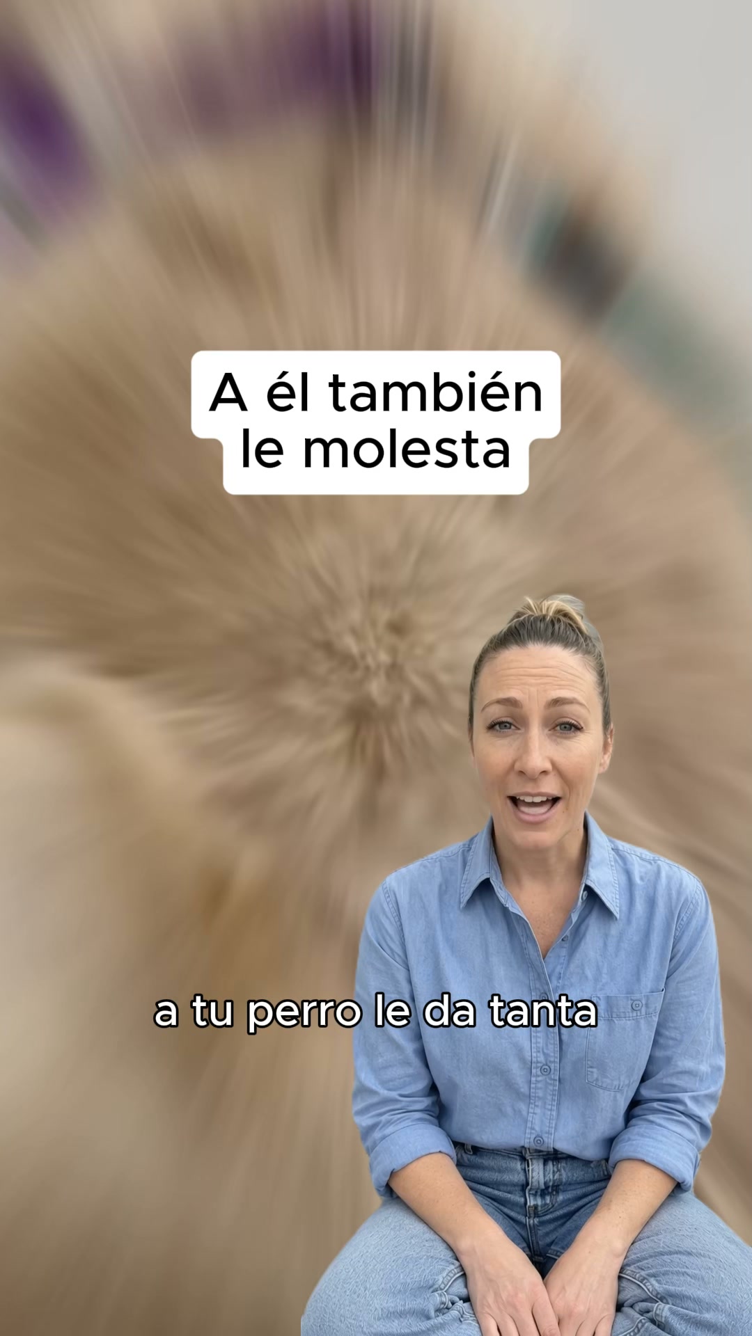 Gánale la batalla al pelo de tu mascota.