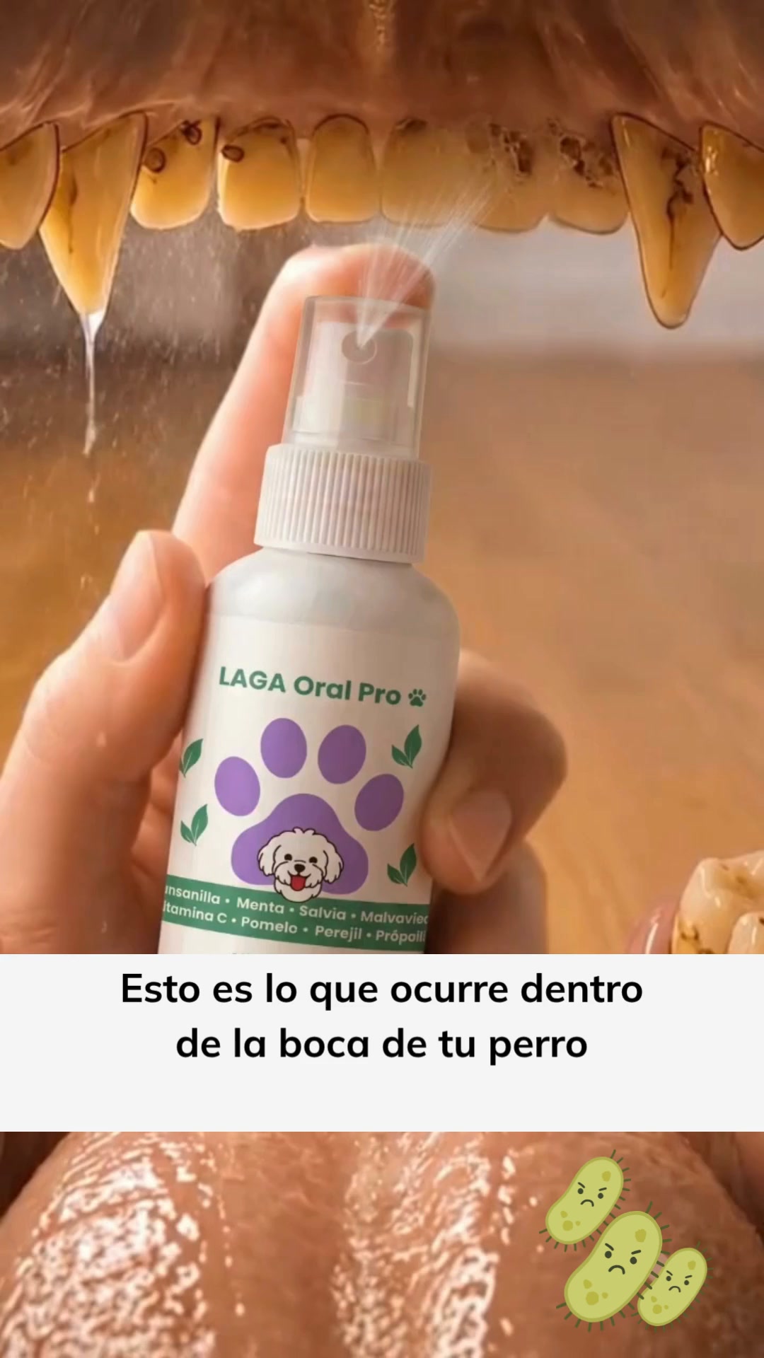 Envío Gratis. Entrega 24-72 horas
