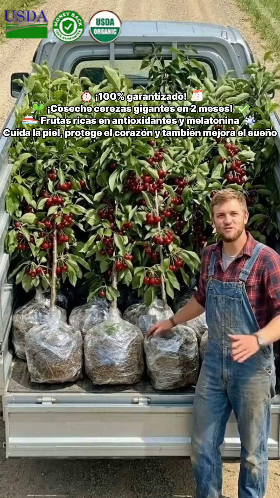 ÁRBOLES DE CEREZO AUTOFERTILES – 50% de Descuento | Planta ahora y cosecha pronto
