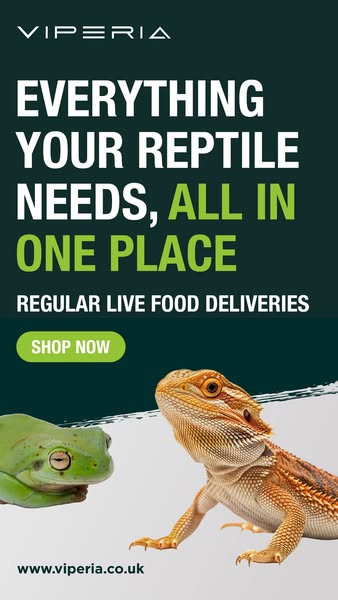 BUY NOW, PAY LATER!