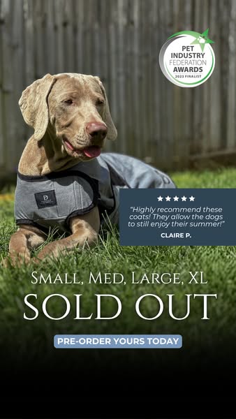 A Better Breed Of Pet Care