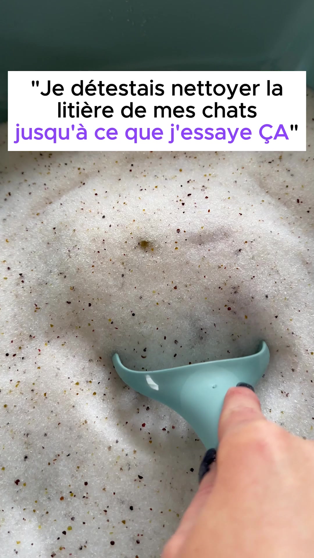 Litière anti-odeur conçue avec des vétérinaires