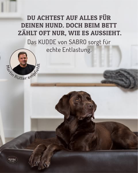 Jetzt sparen beim Kauf von zwei KUDDE