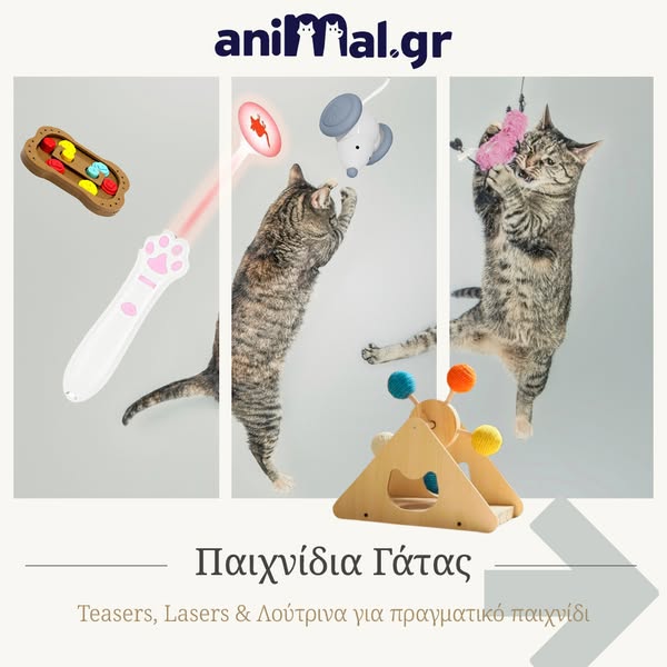 Παιχνίδια Γάτας